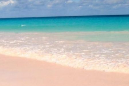 pink sand beaches in the world